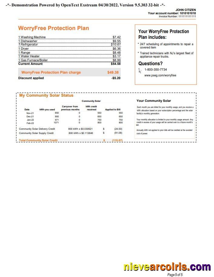 USA New York PSEG utility bill, 5 pages 5